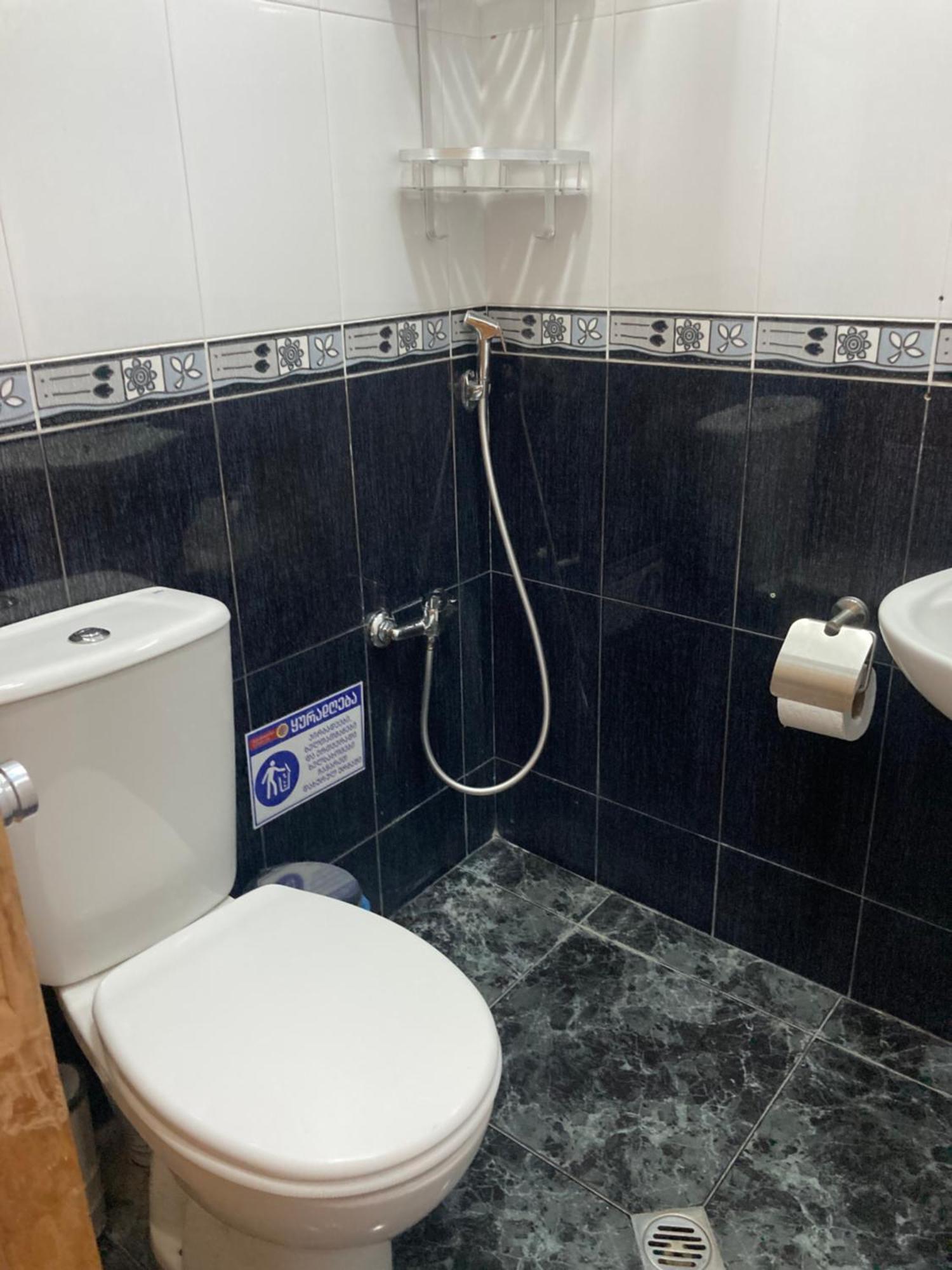 Hotel Ticiani 13 Kutaisi Bilik gambar